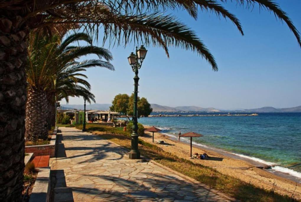 The White House Beach Villa Рафіна Екстер'єр фото